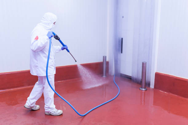 Best Solar Panel Cleaning  in Ranchettes, WY